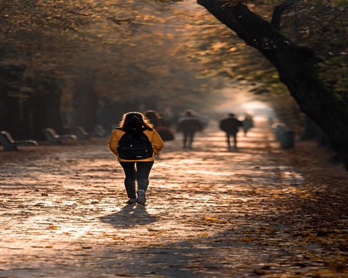 An adult walking through a calm green city park during early dusk hours